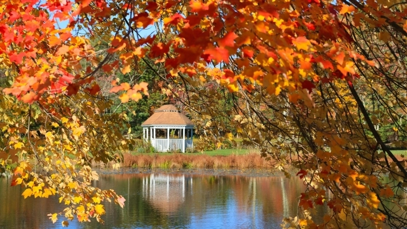 Vật liệu chòi nghỉ bằng tre thân thiện với môi trường