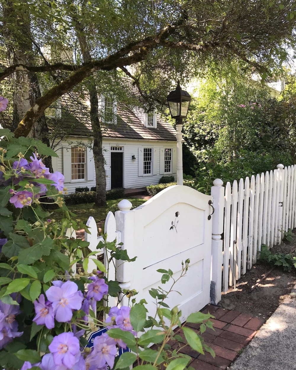 Hệ thống cổng hàng rào nhà vườn đẹp hài hòa với thiên nhiên