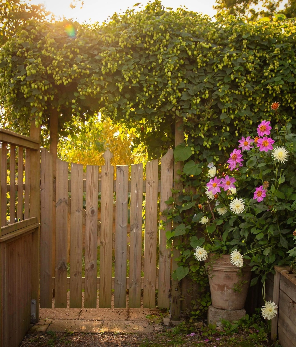 Cổng tre nhà vườn giản dị mang đậm nét quê hương