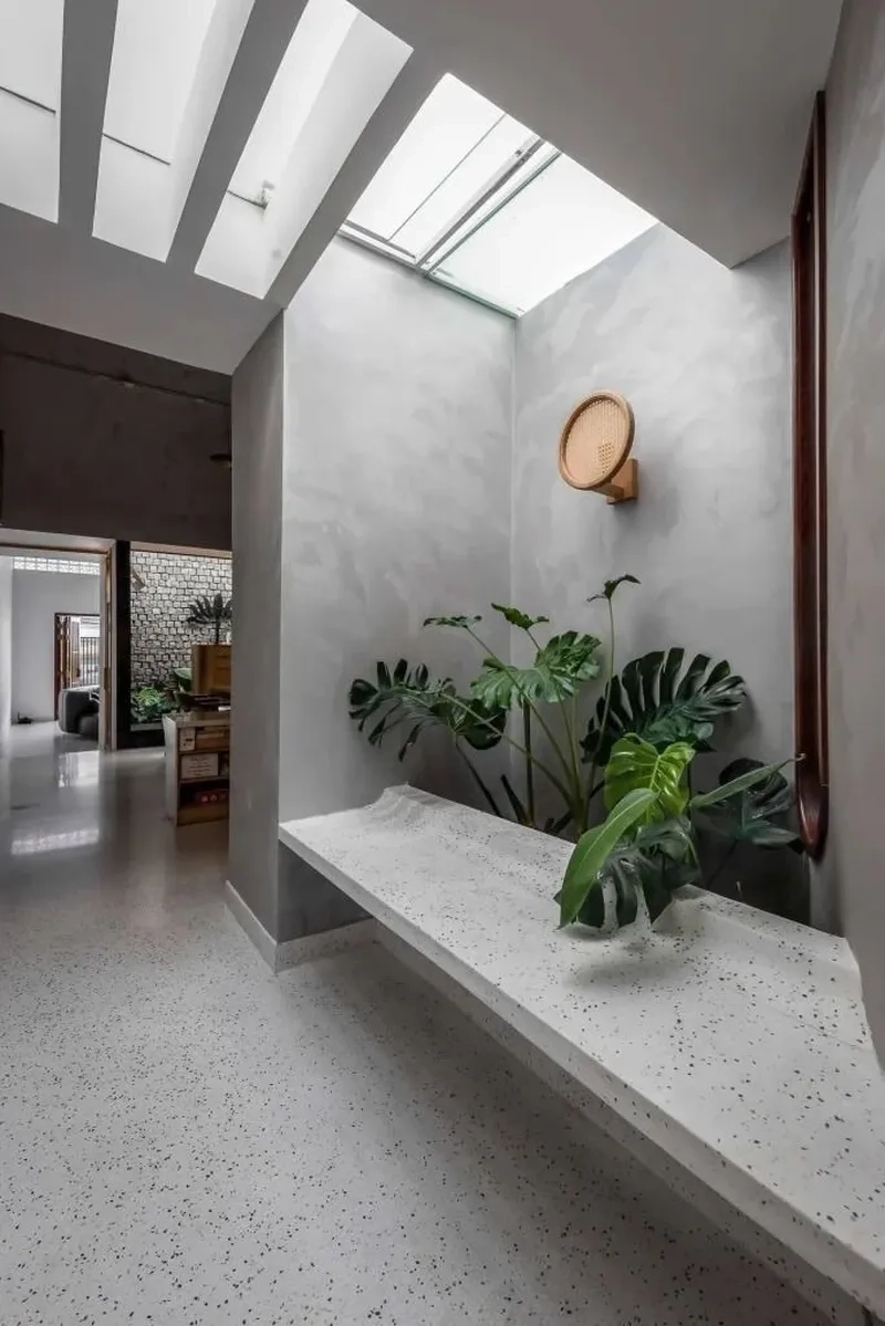 Cây xanh cho giếng trời