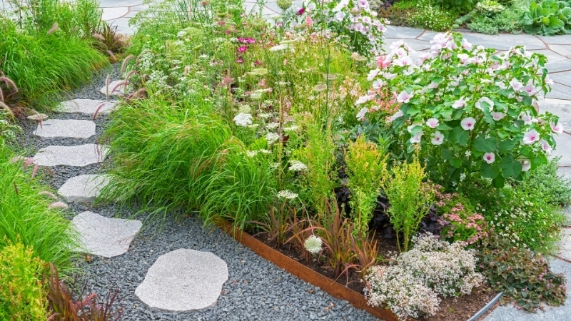 Lối đi sân vườn nhật bản với hồ cá koi và đèn đá