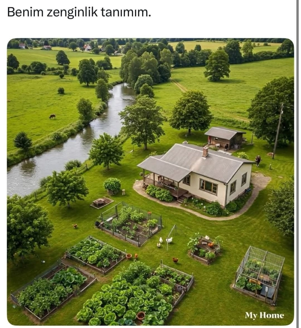 Cảnh quan sân vườn sinh thái với thảm cỏ nhung xanh mướt