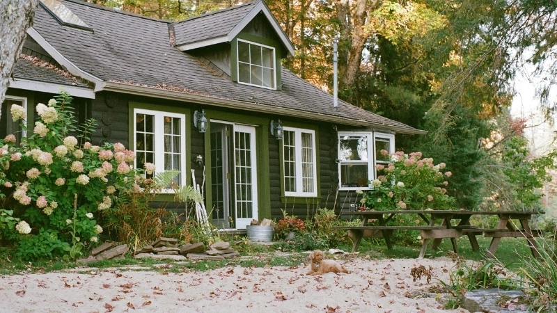 Bản vẽ 3D từ phần mềm thiết kế sân vườn mô phỏng không gian sống động